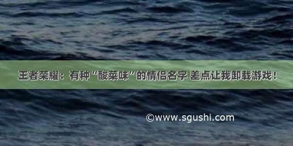 王者荣耀：有种“酸菜味”的情侣名字 差点让我卸载游戏！