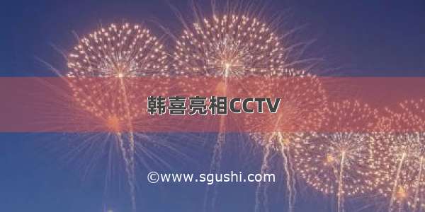 韩喜亮相CCTV