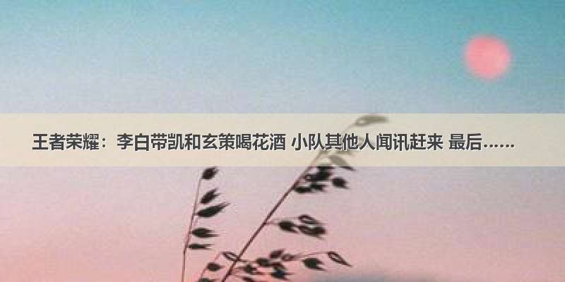 王者荣耀：李白带凯和玄策喝花酒 小队其他人闻讯赶来 最后……