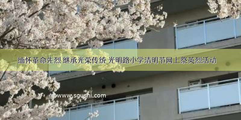 缅怀革命先烈 继承光荣传统 光明路小学清明节网上祭英烈活动