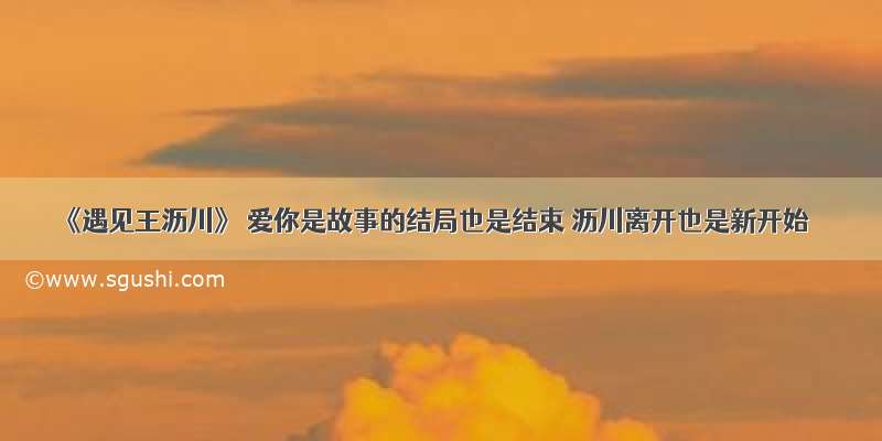 《遇见王沥川》 爱你是故事的结局也是结束 沥川离开也是新开始