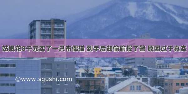 姑娘花8千元买了一只布偶猫 到手后却偷偷报了警 原因过于真实