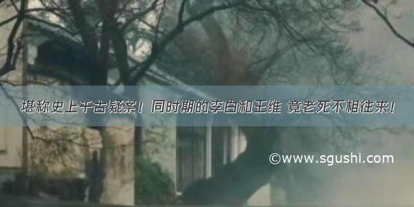 堪称史上千古疑案！同时期的李白和王维 竟老死不相往来！