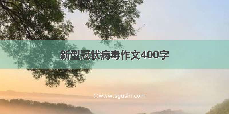 新型冠状病毒作文400字