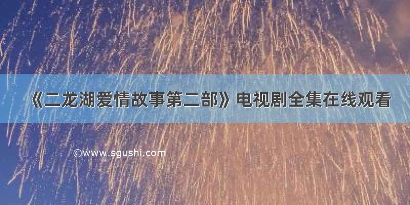 《二龙湖爱情故事第二部》电视剧全集在线观看