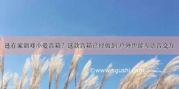 还在家调戏小爱音箱？这款音箱已经做到 户外也能AI语音交互