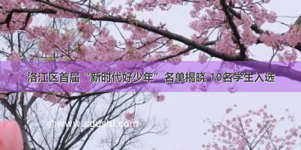洛江区首届“新时代好少年”名单揭晓 10名学生入选