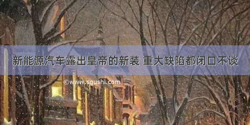 新能源汽车露出皇帝的新装 重大缺陷都闭口不谈