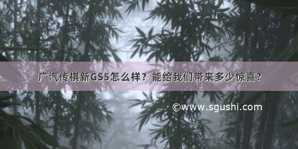 广汽传祺新GS5怎么样？能给我们带来多少惊喜？