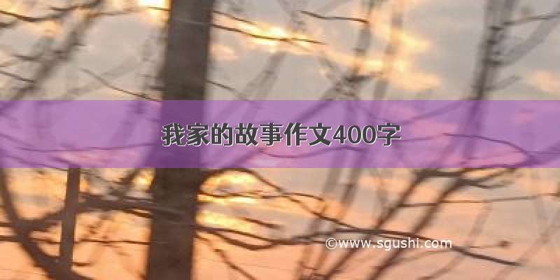 我家的故事作文400字