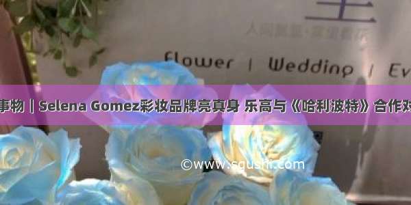 是日美好事物｜Selena Gomez彩妆品牌亮真身 乐高与《哈利波特》合作对角巷积木