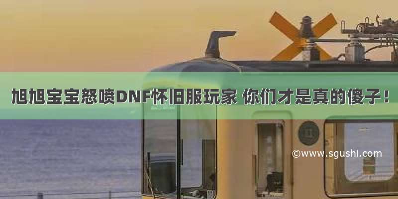 旭旭宝宝怒喷DNF怀旧服玩家 你们才是真的傻子！