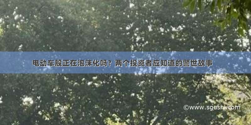 电动车股正在泡沫化吗？两个投资者应知道的警世故事