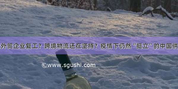 外资外贸企业复工？跨境物流还在坚持？疫情下仍然“挺立”的中国供应链