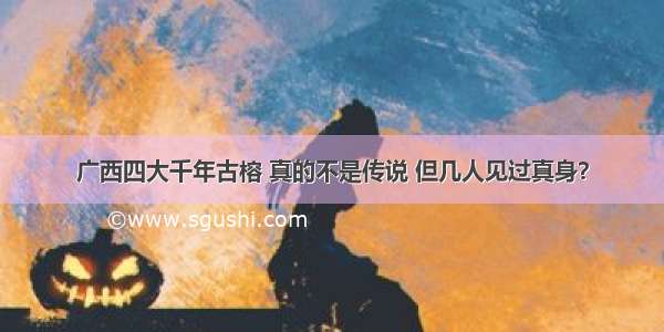 广西四大千年古榕 真的不是传说 但几人见过真身？