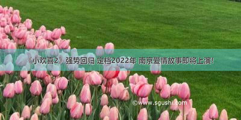 《小欢喜2》强势回归 定档2022年 南京爱情故事即将上演！