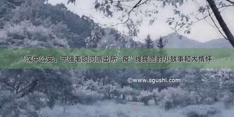 「汉中公安」宁强毛坝河派出所“疫”线民警的小故事和大情怀