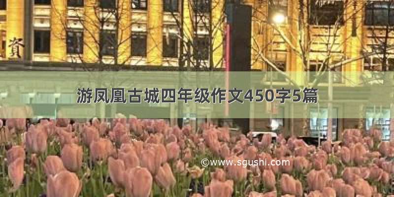 游凤凰古城四年级作文450字5篇