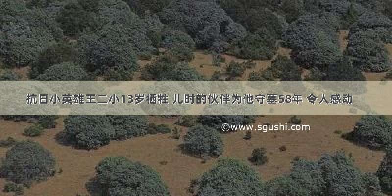 抗日小英雄王二小13岁牺牲 儿时的伙伴为他守墓58年 令人感动
