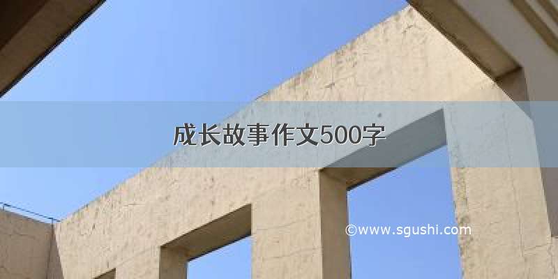 成长故事作文500字