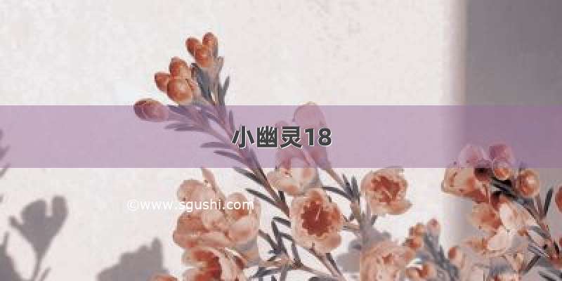 小幽灵18