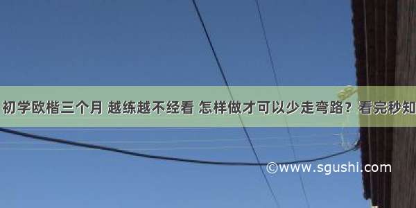 初学欧楷三个月 越练越不经看 怎样做才可以少走弯路？看完秒知