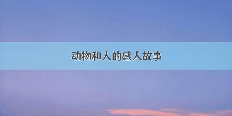 动物和人的感人故事