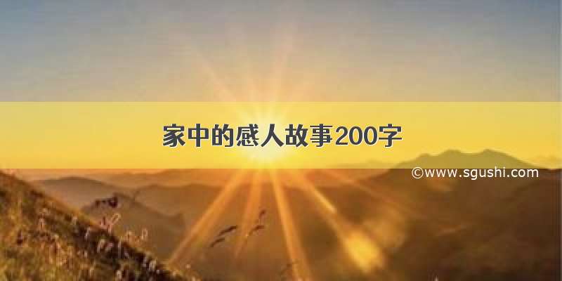 家中的感人故事200字