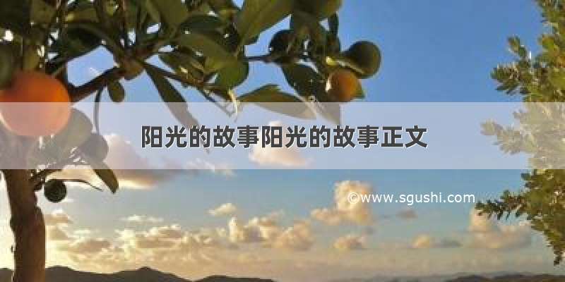 阳光的故事阳光的故事正文