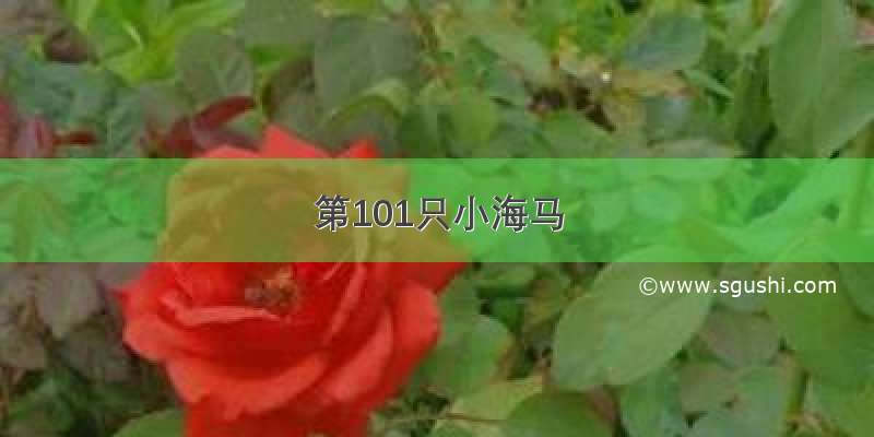 第101只小海马