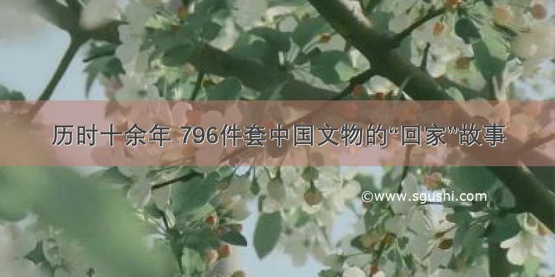 历时十余年 796件套中国文物的“回家”故事