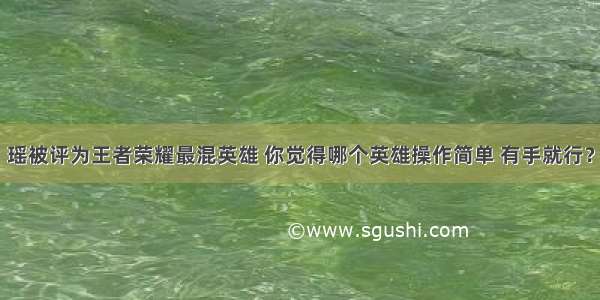 瑶被评为王者荣耀最混英雄 你觉得哪个英雄操作简单 有手就行？