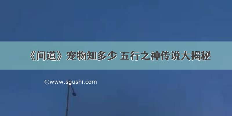 《问道》宠物知多少 五行之神传说大揭秘