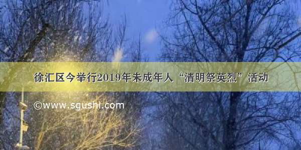 徐汇区今举行2019年未成年人“清明祭英烈”活动