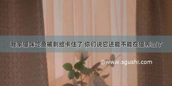 我家猫咪吃鱼被刺给卡住了 你们说它还能不能在猫界混了