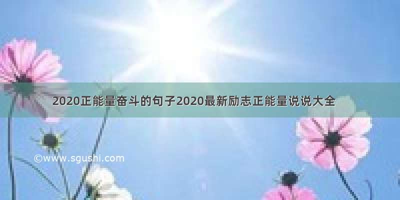 2020正能量奋斗的句子2020最新励志正能量说说大全