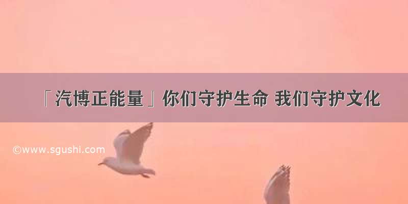 「汽博正能量」你们守护生命 我们守护文化