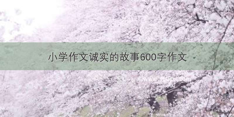 小学作文诚实的故事600字作文