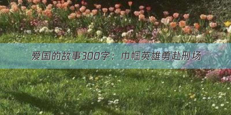 爱国的故事300字：巾帼英雄勇赴刑场