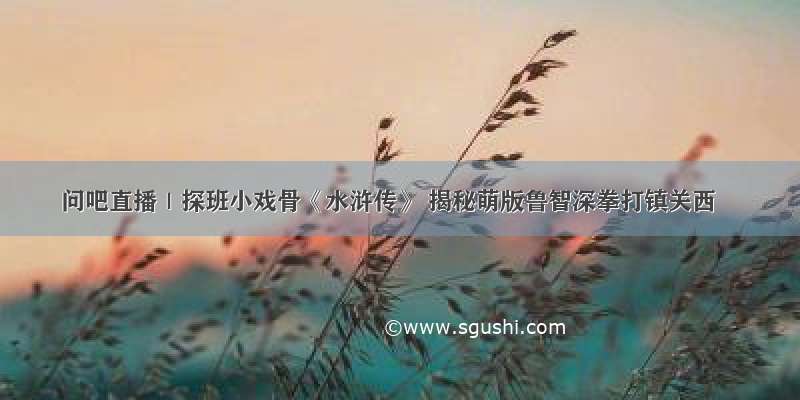 问吧直播｜探班小戏骨《水浒传》 揭秘萌版鲁智深拳打镇关西