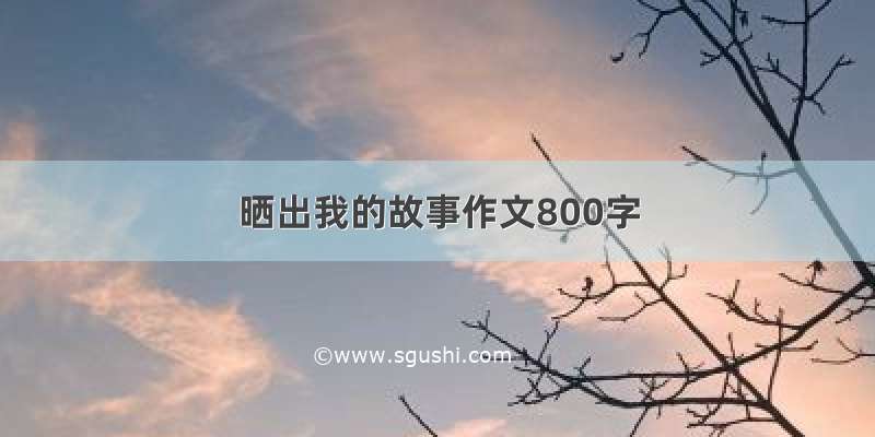 晒出我的故事作文800字