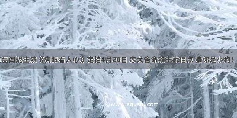 黄磊闫妮主演《狗眼看人心》定档4月20日 忠犬舍命救主戳泪点 骗你是小狗！