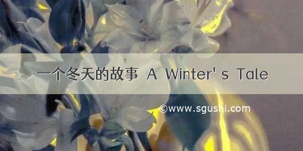 一个冬天的故事 A Winter's Tale