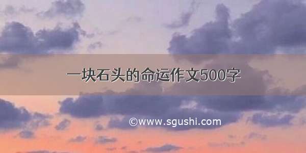 一块石头的命运作文500字