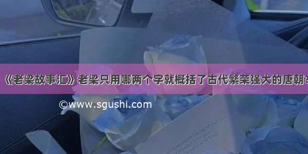 《老梁故事汇》老梁只用哪两个字就概括了古代繁荣强大的唐朝？