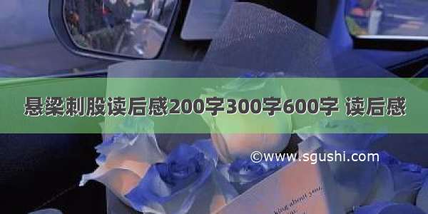 悬梁刺股读后感200字300字600字 读后感