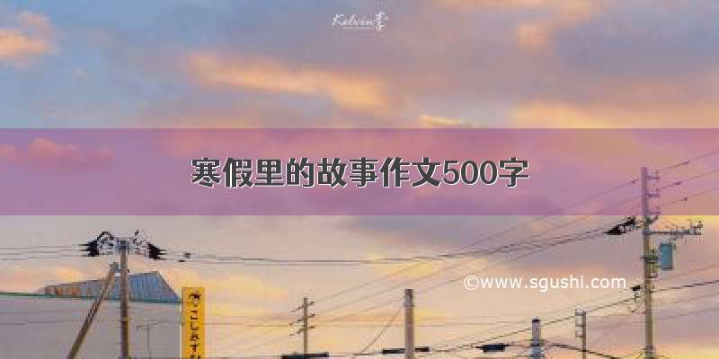 寒假里的故事作文500字