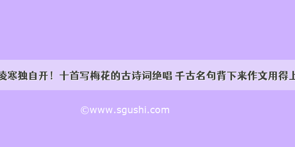 凌寒独自开！十首写梅花的古诗词绝唱 千古名句背下来作文用得上