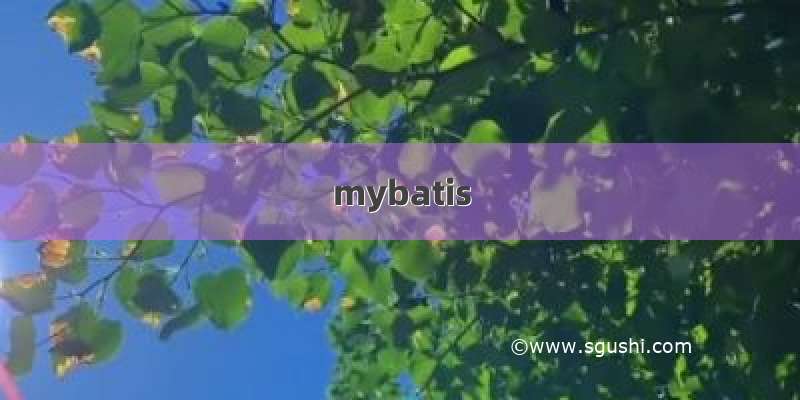 mybatis
