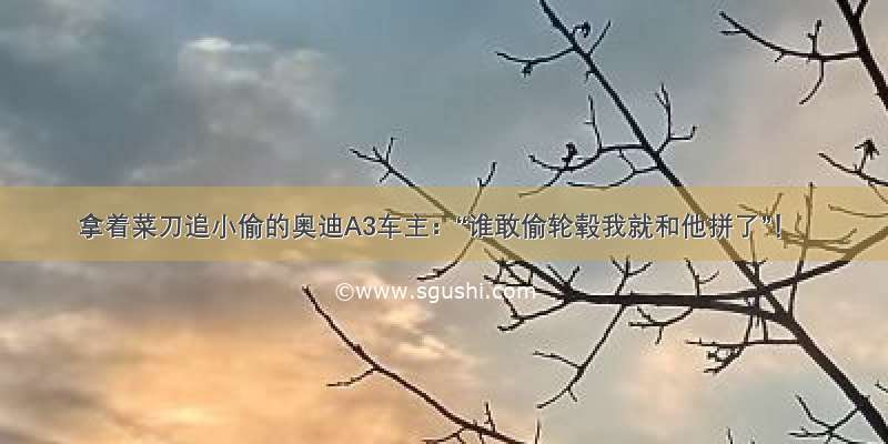 拿着菜刀追小偷的奥迪A3车主：“谁敢偷轮毂我就和他拼了”！